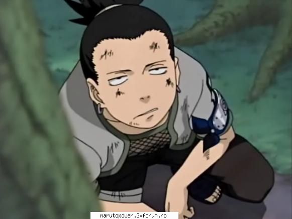 Funny photos - Zizi` - Shikamaru Nara