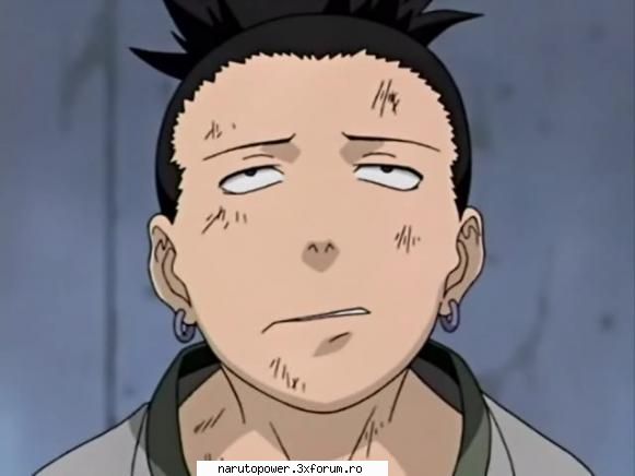 Funny photos - Zizi` - Shikamaru Nara