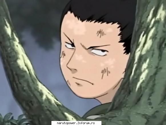 Poze๋� - Zizi` - Shikamaru Nara