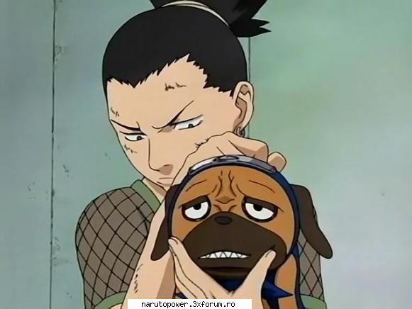 Poze๋� - Zizi` - Shikamaru Nara