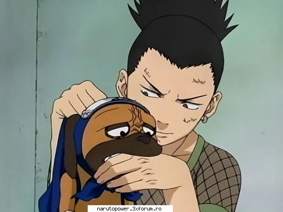 Poze๋� - Zizi` - Shikamaru Nara