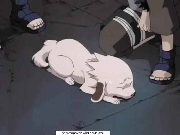 akamaru - Zizi` - Kiba Inuzuka si Akamaru