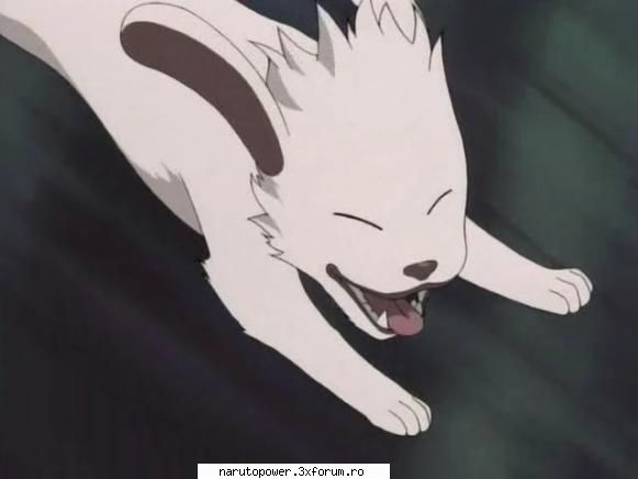 akamaru - Zizi` - Kiba Inuzuka si Akamaru