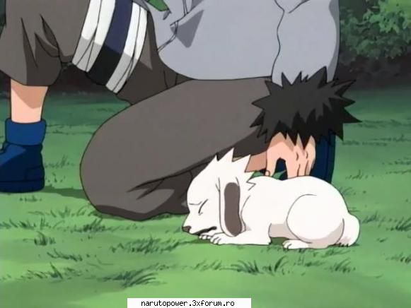 akamaru - Zizi` - Kiba Inuzuka si Akamaru