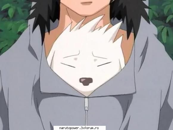 akamaru - Zizi` - Kiba Inuzuka si Akamaru
