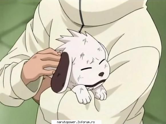 akamaru - Zizi` - Kiba Inuzuka si Akamaru