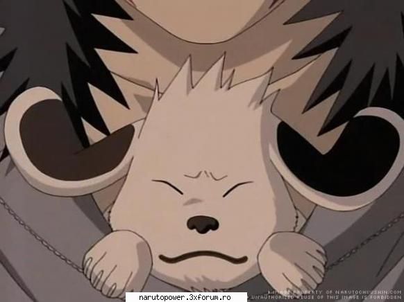 akamaru - Zizi` - Kiba Inuzuka si Akamaru