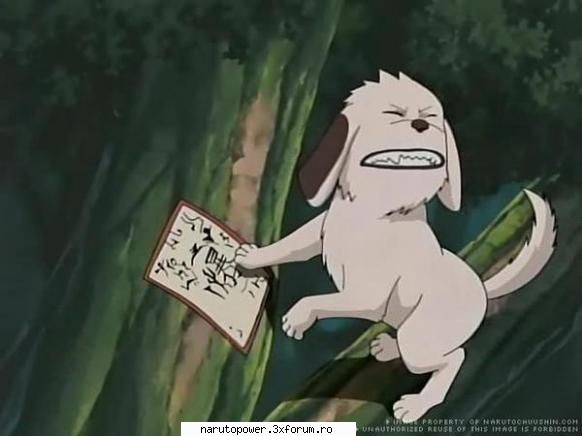 akamaru - Zizi` - Kiba Inuzuka si Akamaru