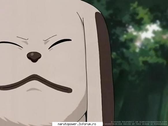 akamaru - Zizi` - Kiba Inuzuka si Akamaru