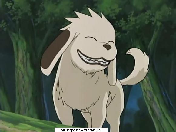 akamaru - Zizi` - Kiba Inuzuka si Akamaru