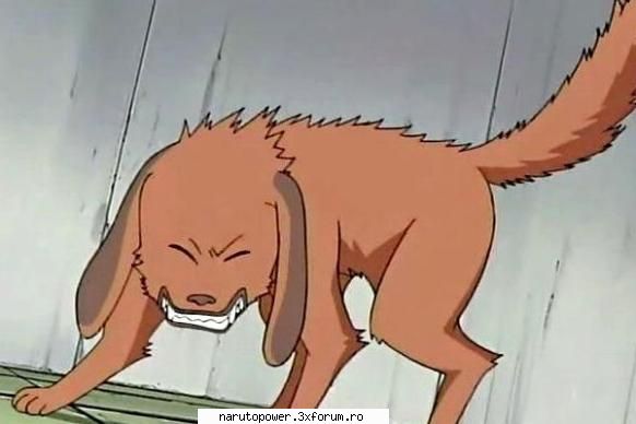 akamaru - Zizi` - Kiba Inuzuka si Akamaru