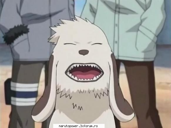 akamaru - Zizi` - Kiba Inuzuka si Akamaru