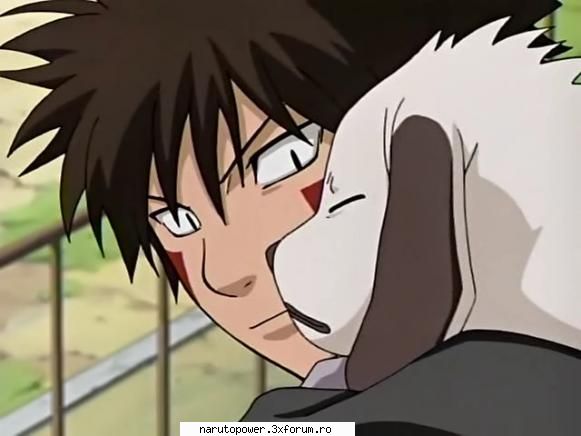 :d kiba si akamaru